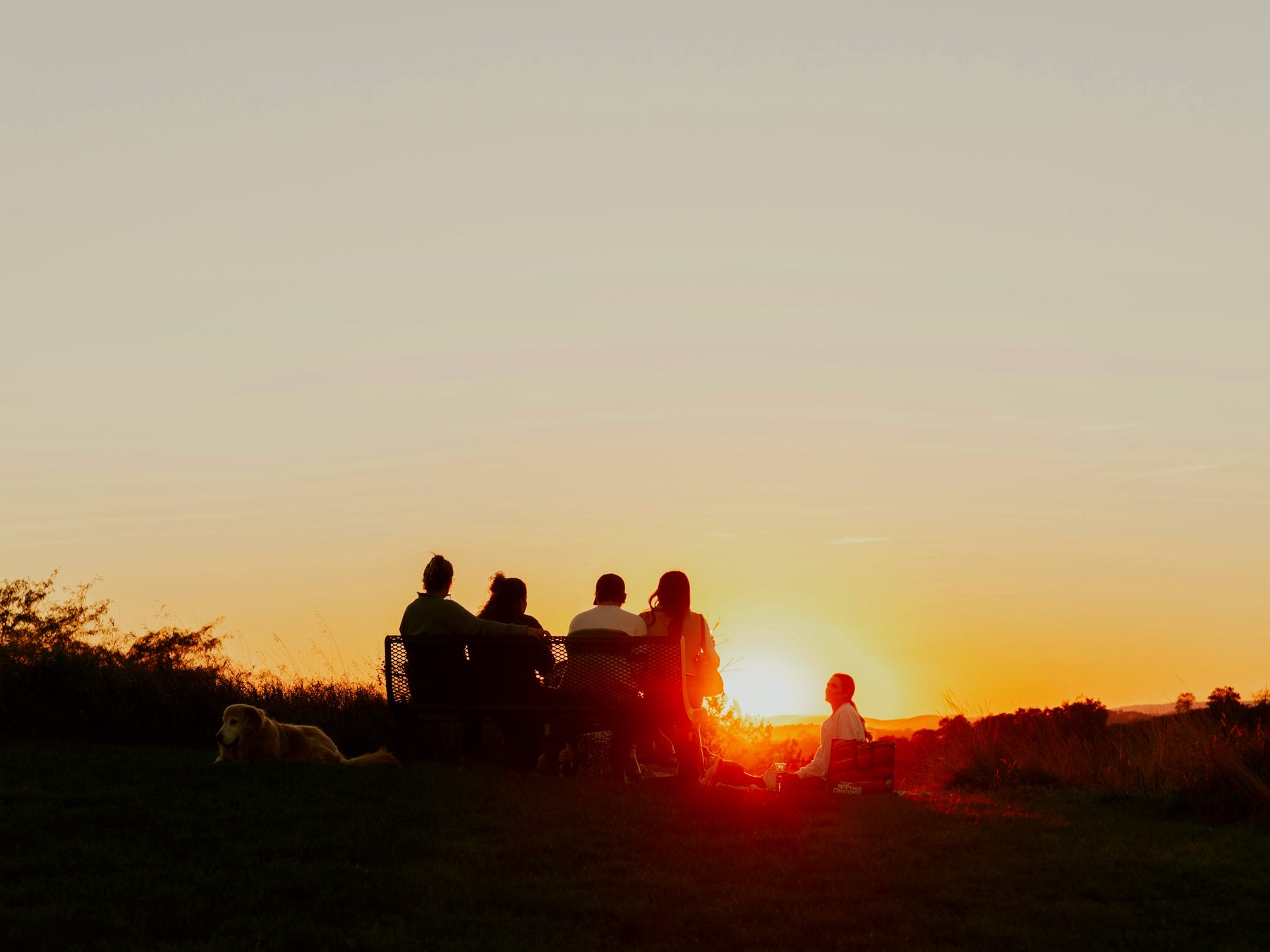 A group sitting together on a hilltop lawn watching the sunset