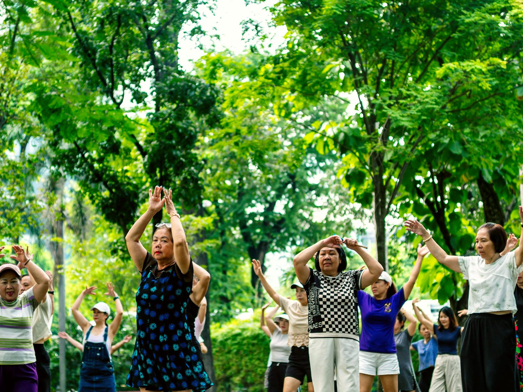 An outdoor movement class in a park